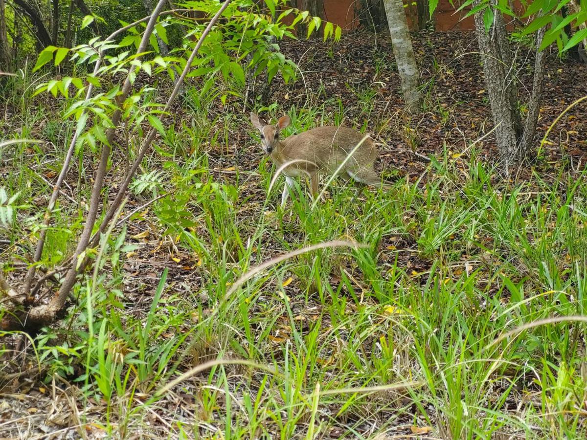 Gosana Eco Nature Hotel Kilifi Esterno foto